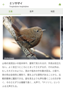 登山を楽しく快適にするおすすめアプリ３選