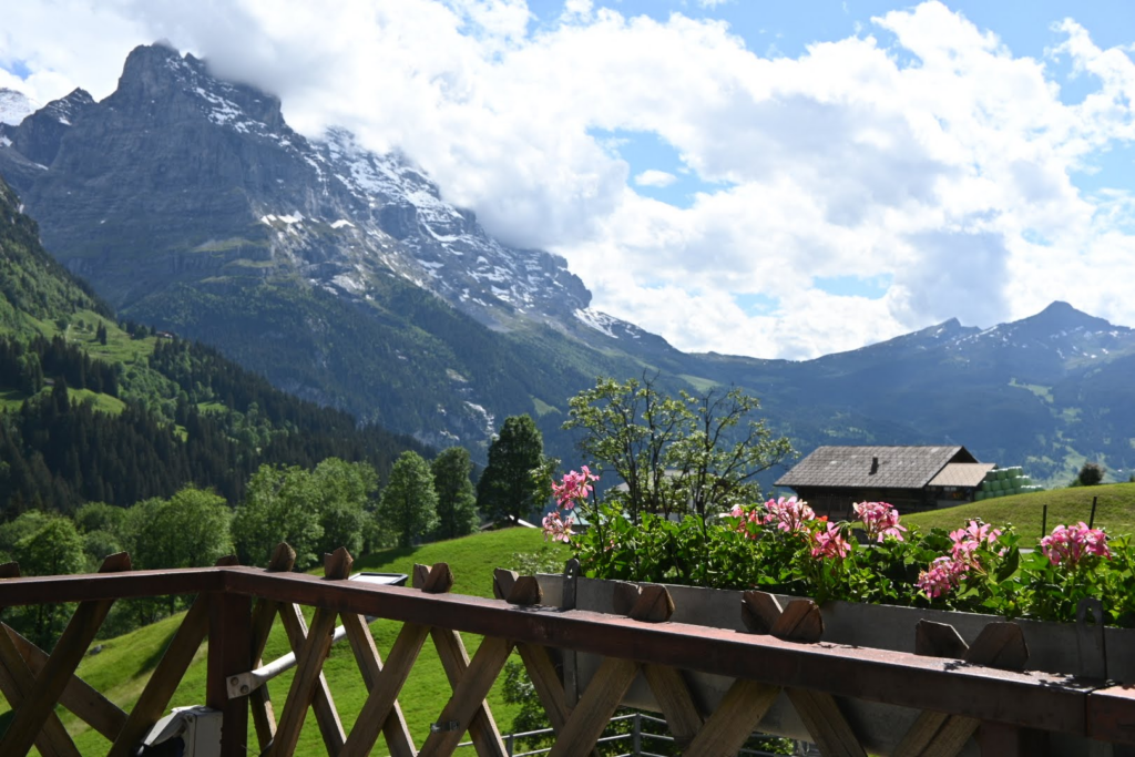 【スイス旅行記 前編】夫婦でワンバッグ!元刑務所ホテルから絶景のグリンデルワルトへ(6/4〜6/7) 25 【スイス旅行記 前編】夫婦でワンバッグ!元刑務所ホテルから絶景のグリンデルワルトへ(6/4〜6/7) 0f642a44 image