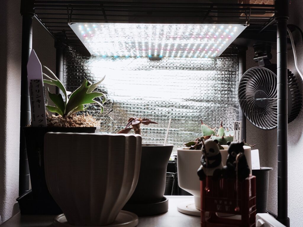 植物育成ライトの反射板を銀シートで自作する 光効率を上げる格安DIY 11 反射板とライト