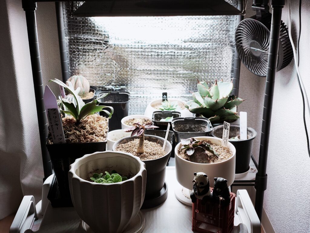 植物育成ライトの反射板を銀シートで自作する 光効率を上げる格安DIY 4 反射板をつけた様子