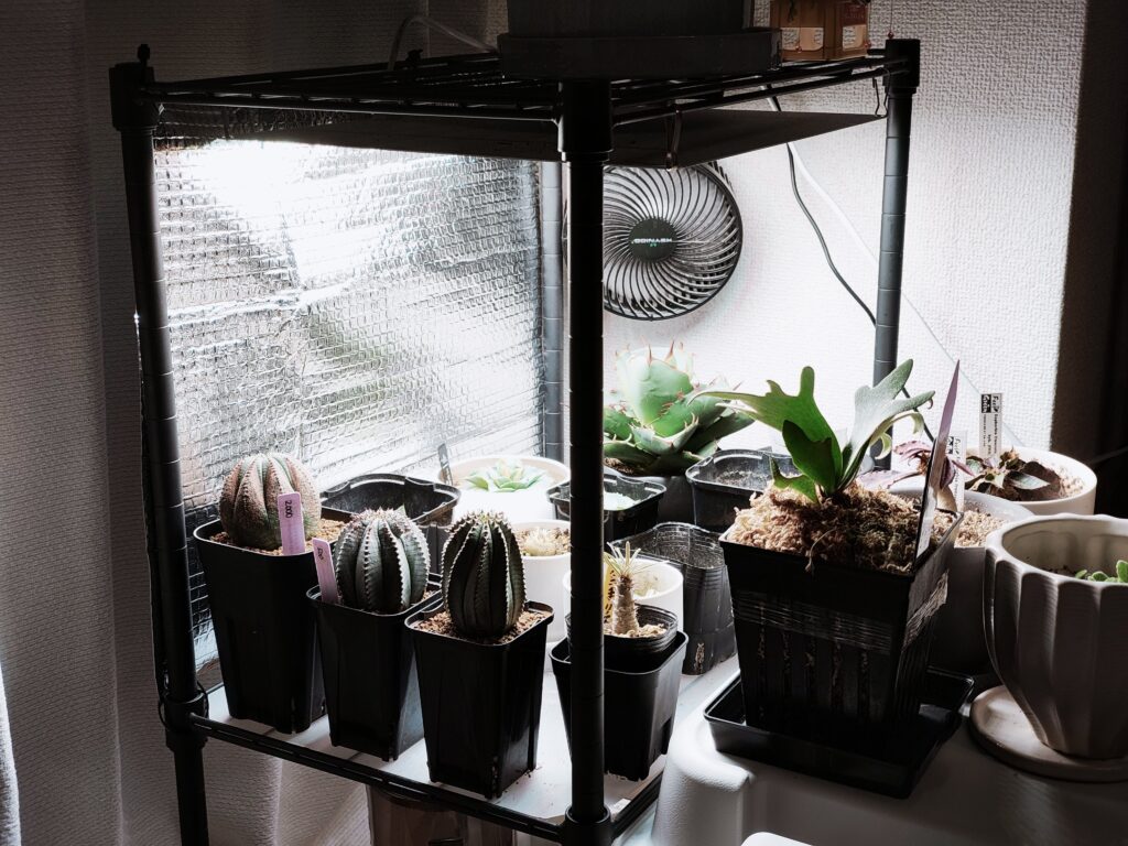 植物育成ライトの反射板を銀シートで自作する 光効率を上げる格安DIY 12 反射板とライト