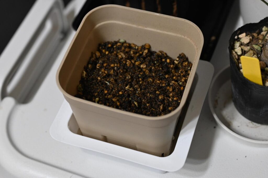 オトンナのジップロック播種から10日目の発芽と熱湯消毒した多肉用土への植え付け記録 8 種を播種し豆腐の容器にセットしたプレステラ深鉢の全体